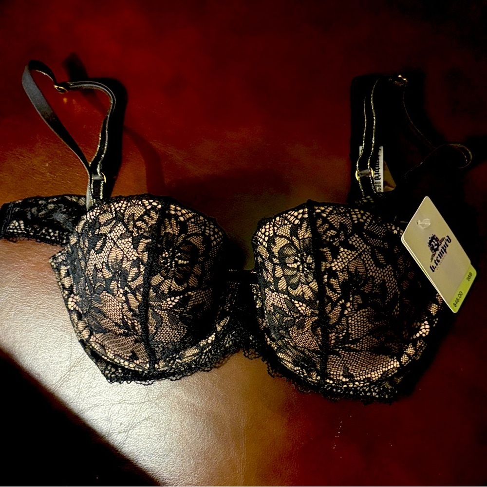 Elegant Black Lace Padded Bra